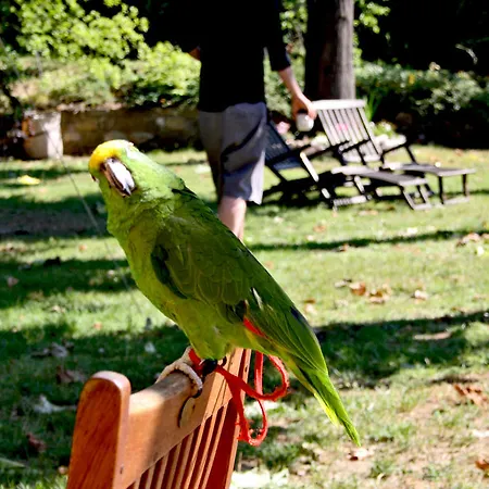 La Martellina Bed and breakfast